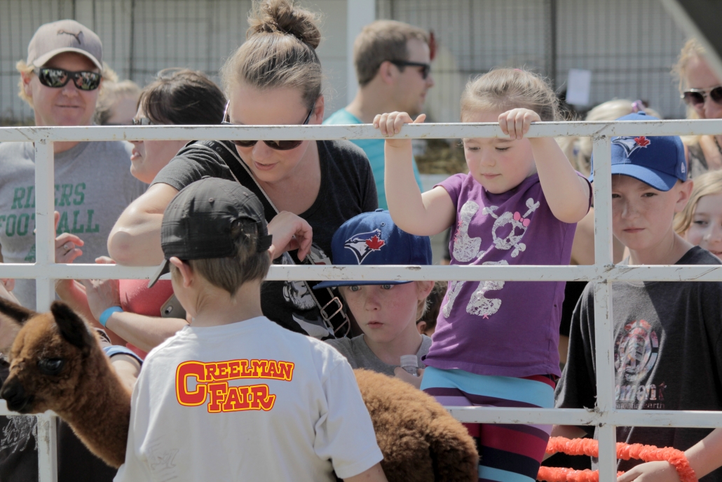 Creelman Fair Animals