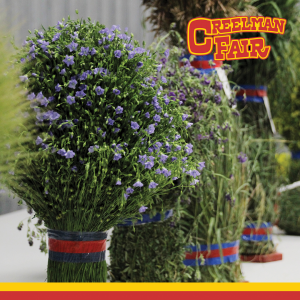 Creelman Fair Field & Garden