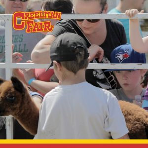 Creelman Fair Animals